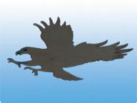 sample of Laser welding and cutting integrated machine2